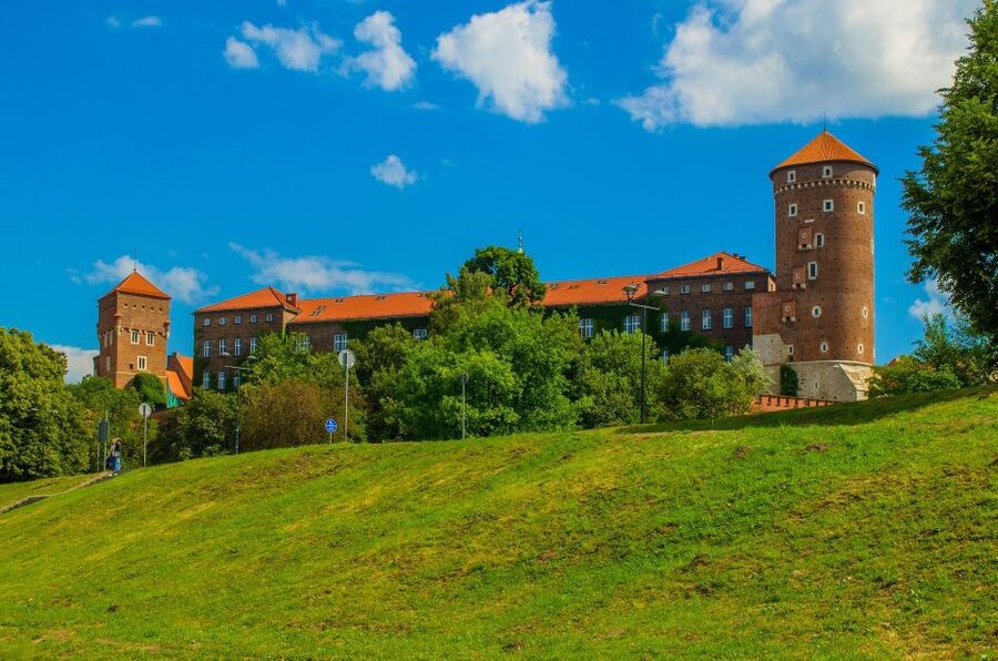 Krakow: Skip the Line Wawel Castle & Cathedral Private Tour - Languages, pace, and guide quality