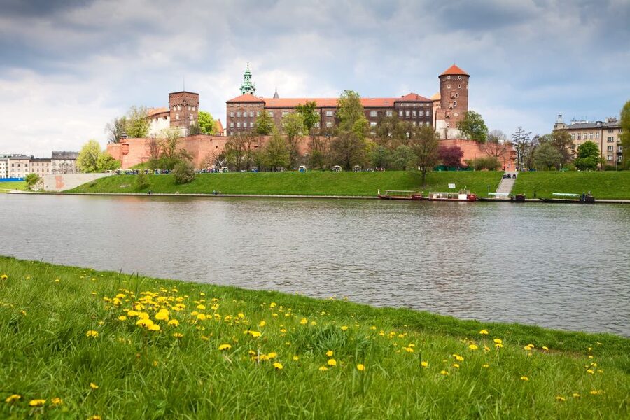 Krakow: Wawel Castle, Cathedral, Salt Mine, and Lunch - Key points to know before booking