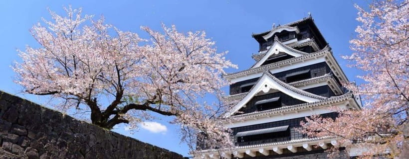 Kumamoto: Castle Admission Ticket - The outdoor route and earthquake recovery