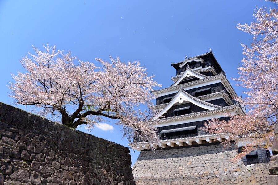 Kumamoto Castle Guided Tour with Locals - Why Kumamoto Castle Feels Like More Than a Monument