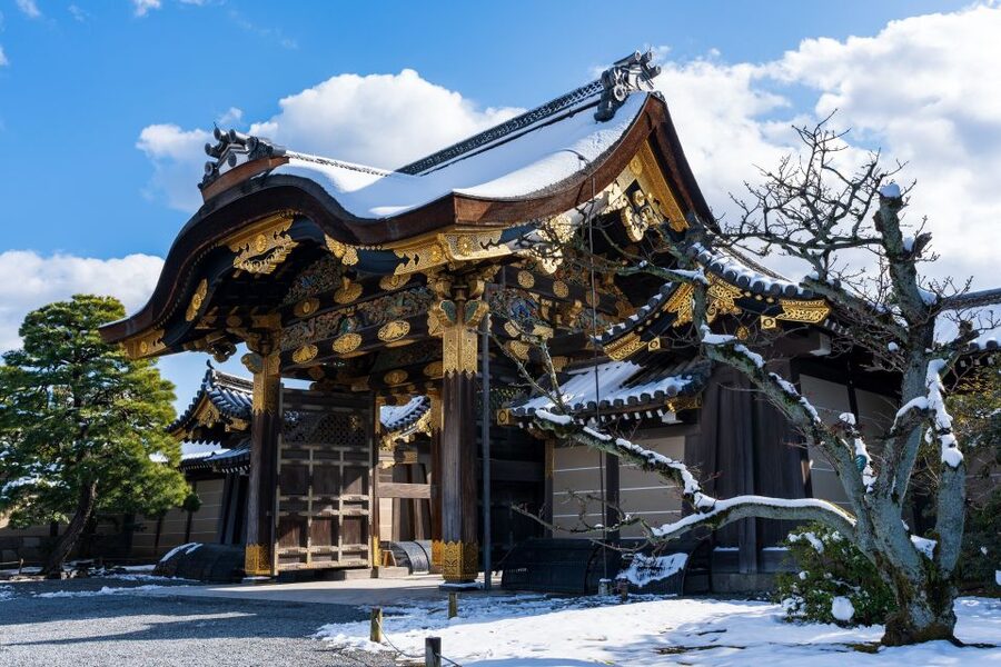 Kyoto: Imperial Palace & Nijo Castle Guided Walking Tour - Is $49 a fair price?