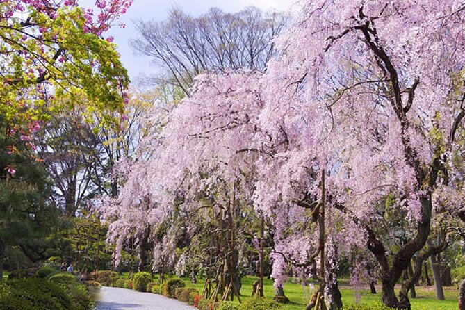 Kyoto: Nijo Castle World Heritage Guided Tour with Admission - Who should book this 90-minute tour?