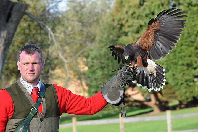 Leeds Castle Admission - Ultimate Explorer Tickets - Leeds Castle is a full day out, not a quick house tour