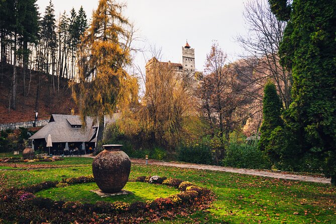 Legends&Wildlife Awaits: Dracula's Castle & Bear Sanctuary - Key points before you book