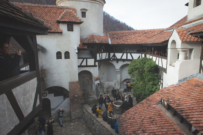 Legends&Wildlife Awaits: Dracula's Castle & Bear Sanctuary - Why this Bucharest outing works so well