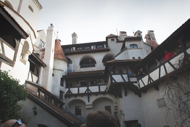 Legends&Wildlife Awaits: Dracula's Castle & Bear Sanctuary - What the included transport adds