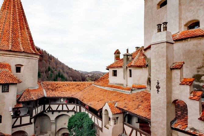 Legends&Wildlife Awaits: Dracula's Castle & Bear Sanctuary - Who will enjoy this day most