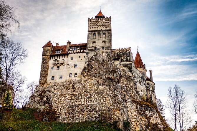 Legends&Wildlife Awaits: Dracula's Castle & Bear Sanctuary - The morning at Libearty Bear Sanctuary