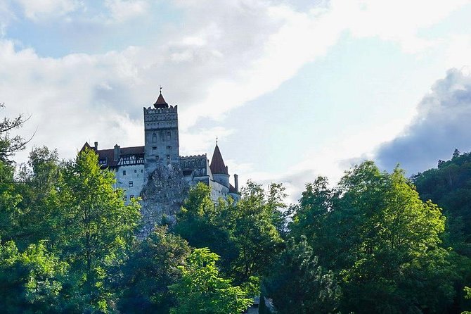 Libearty Bear Sanctuary and Dracula's Castle - Day Tour from Bucharest - Lunch, queues, and practical choices