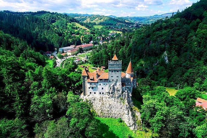 Libearty Bear Sanctuary and Dracula's Castle - Day Tour from Bucharest - The guide can shape the whole day