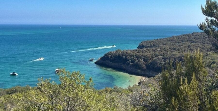 Lisbon: Arrábida & Sesimbra w/ Palmela Castle & Wine Tasting - Returning across the 25 de Abril Bridge