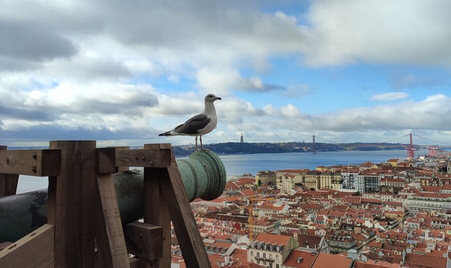 Lisbon: Saint George's Castle Entry Ticket and Guided Visit - Key points at a glance