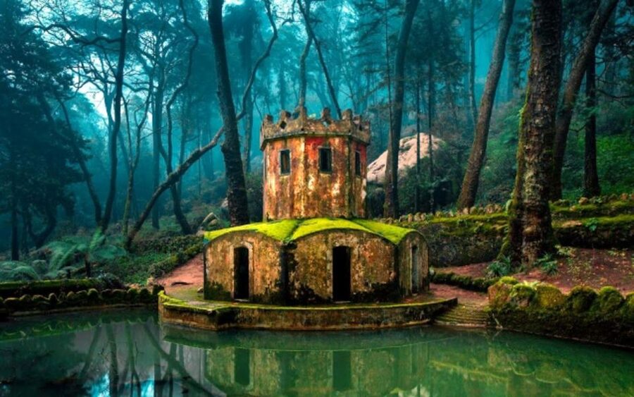 Lisbon: Sintra, Pena, Moorish Castle, Regaleira & Cascais - The driver makes the difference