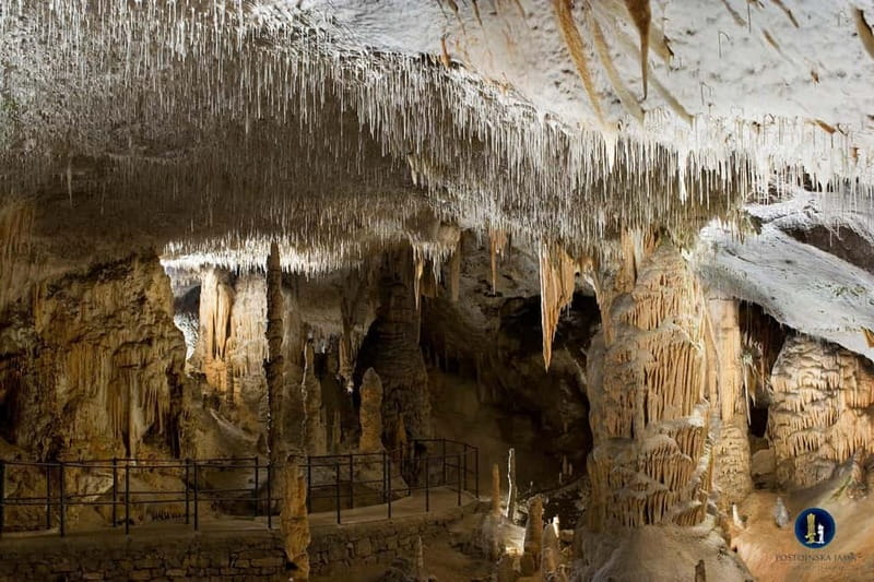 Ljubljana: Postojna Cave and Predjama Castle Tour - Key points to know before booking