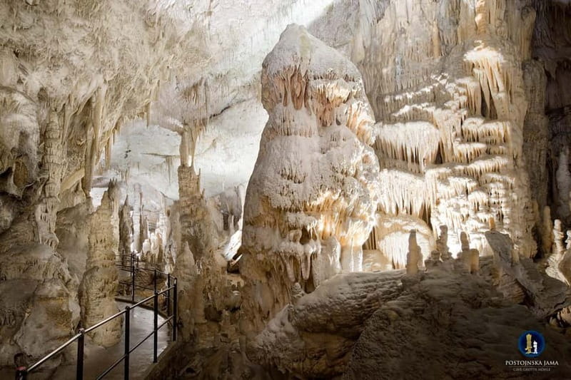 Ljubljana: Postojna Cave and Predjama Castle Tour - Why Postojna Cave deserves the top billing