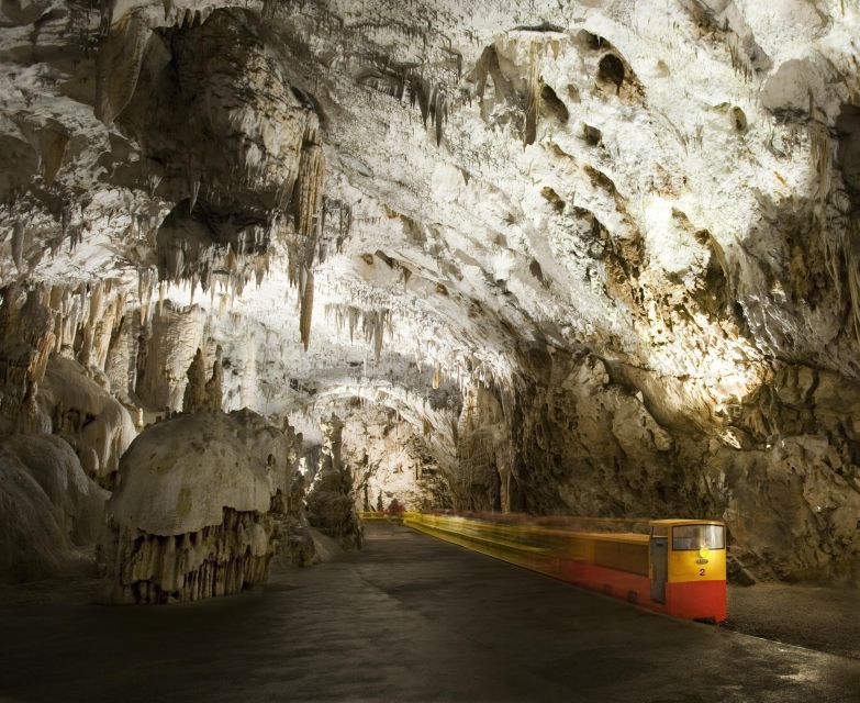 Ljubljana: Postojna Cave & Predjama Castle Tickets and Tour - Who should book this tour?