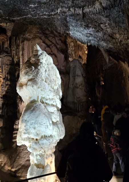 Ljubljana to Postojna Cave,Predjama Castle and Postojna park - Why this makes a strong Ljubljana day trip