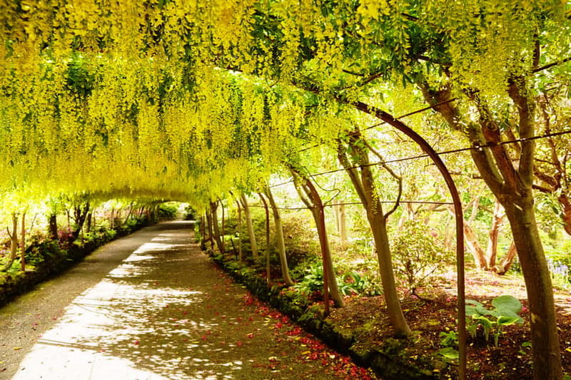 Llandudno: Snowdonia Bodnant Gardens & Castles Private Tour - A full day from Llandudno to the mountains