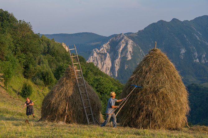 Local experience from Brasov - Transylvanian villages and Bran Castle - Key points at a glance