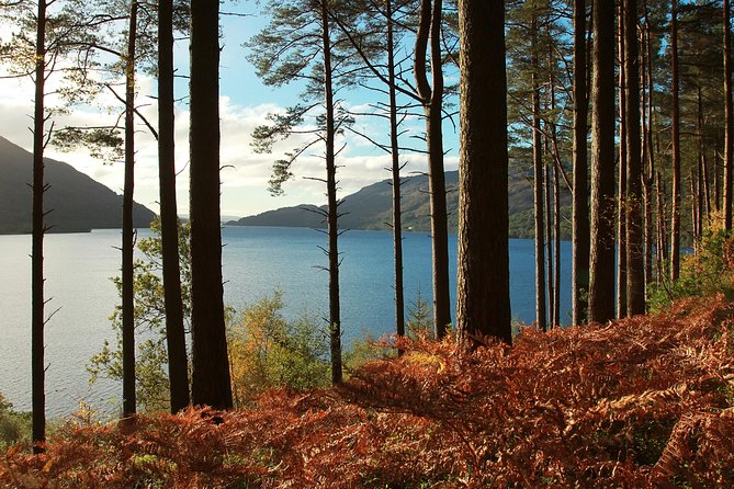 Loch Lomond, Kelpies & Stirling Castle Tour Including Admission - Why the small coach matters