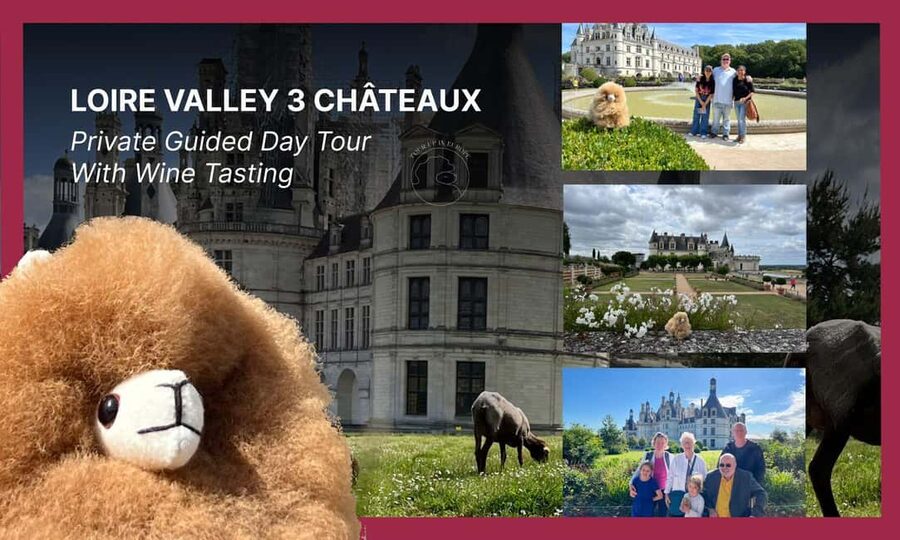 Loire Castles Day Trip & Wine Tasting - Amboise: royal rooms and Leonardo da Vinci