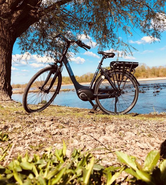 Loire castles with electric bicycle - Four famous castles, four different reasons to stop