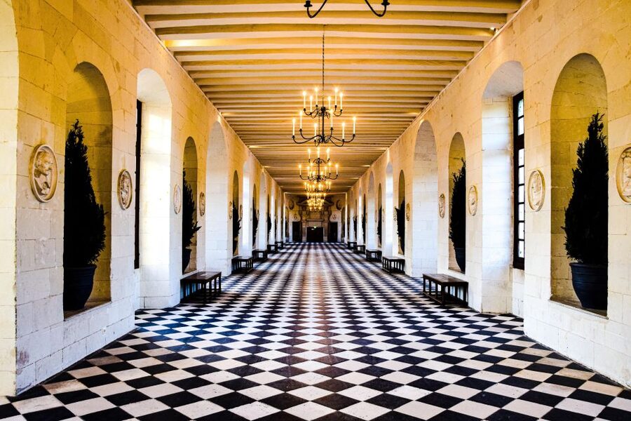Loire Valley Castles: VIP Private Tour from Paris 3 Castles - How the private guide changes the day