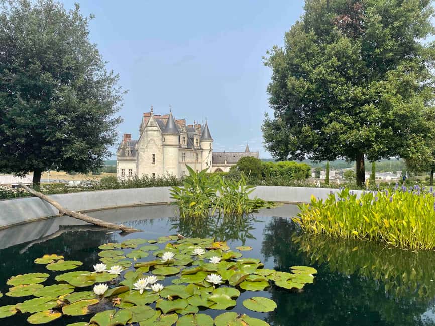 Loire Valley: Château Royal d'Amboise Entrance Ticket - Why Château Royal d’Amboise Feels Different