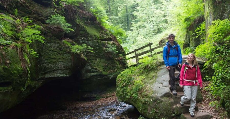 Luxembourg: Nature, History and Castles Full-Day Tour - Mullerthal and the Schiessentümpel waterfall