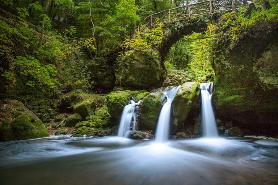 Luxembourg: Nature, History and Castles Full-Day Tour - Vianden Castle, the day’s main event