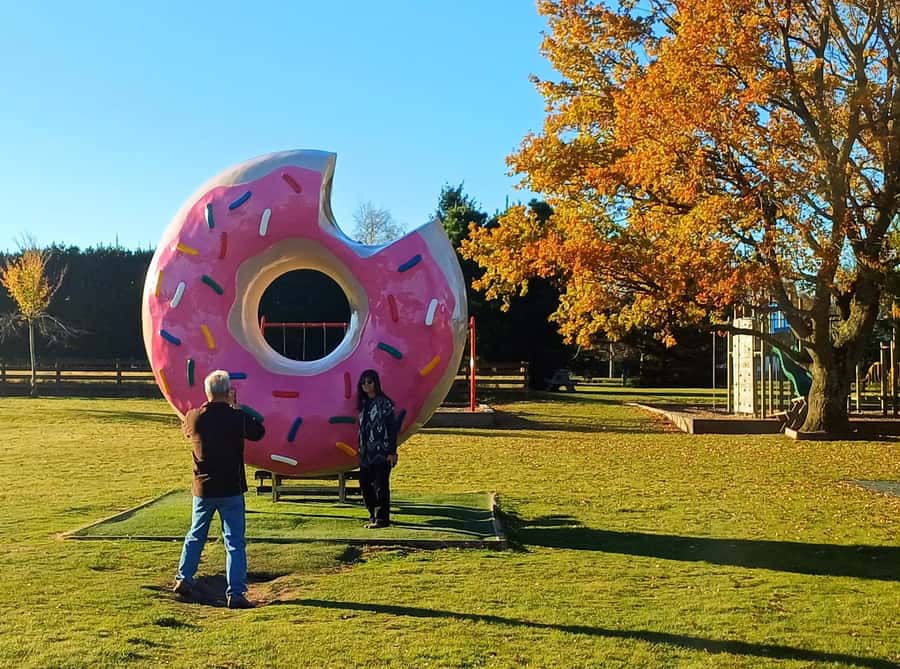 Lyttelton: Shore Excursion, Castle Hill & Inland Canterbury - Why Castle Hill is worth the long ride