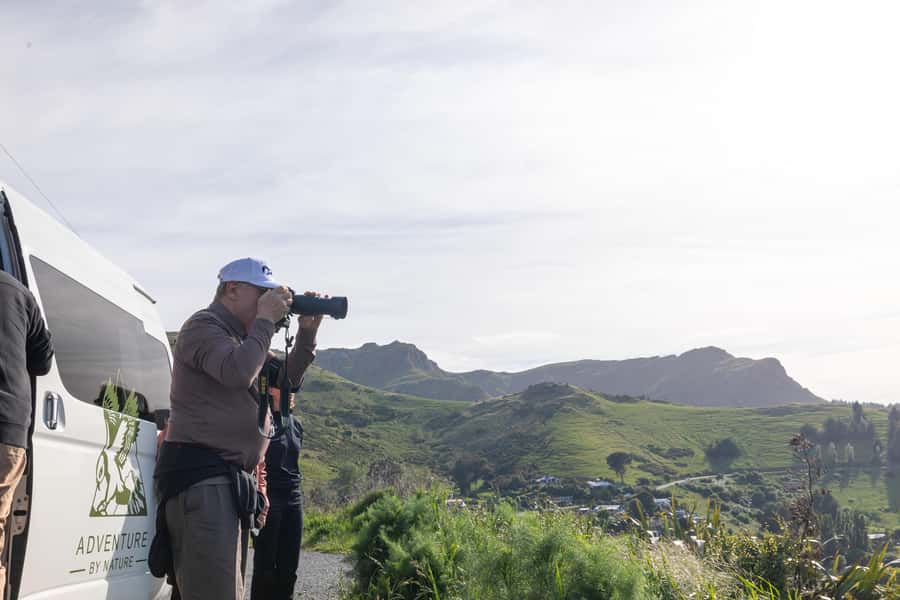 Lyttelton: Shore Excursion, Castle Hill & Inland Canterbury - Who should book this Castle Hill excursion?