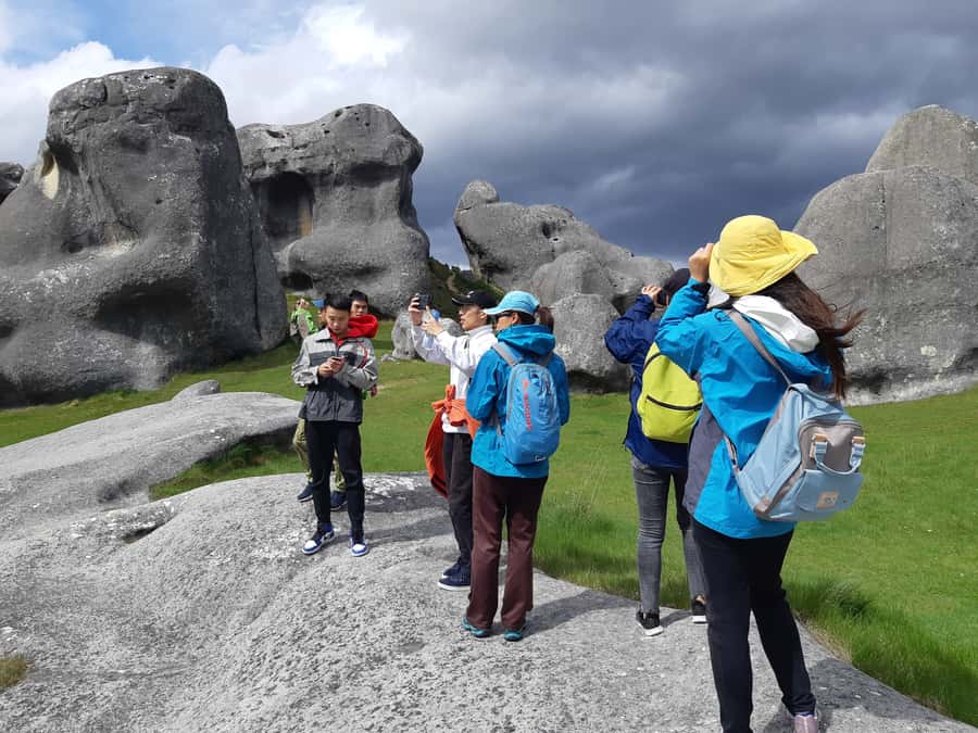 Lyttelton: Shore Excursion, Castle Hill & Inland Canterbury - A closer look at the guiding