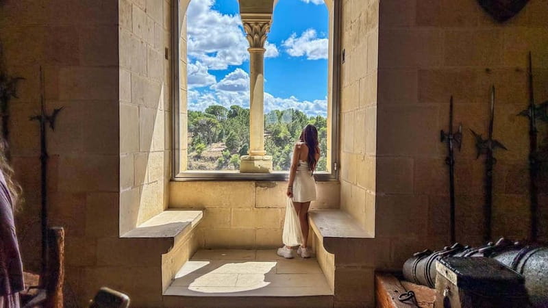 Madrid: Segovia & Ávila Full Day with Alcázar & Wall Tickets - Free time in Segovia is short but useful