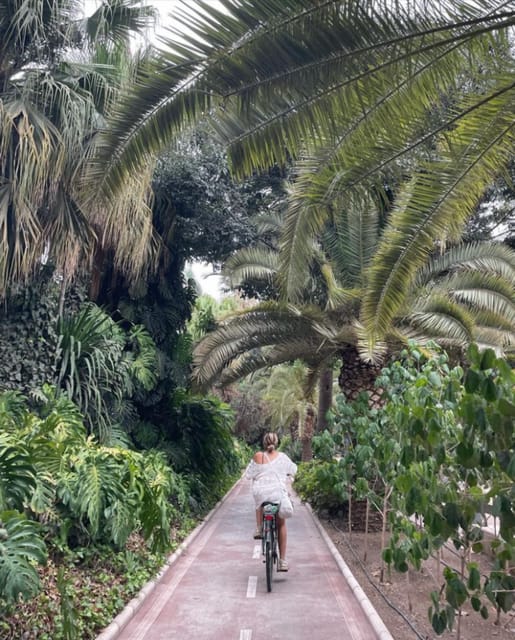 Malaga: Castle Hill and Fisherman Village E-Bike Tour - From the hill to Pedregalejo’s fishing life
