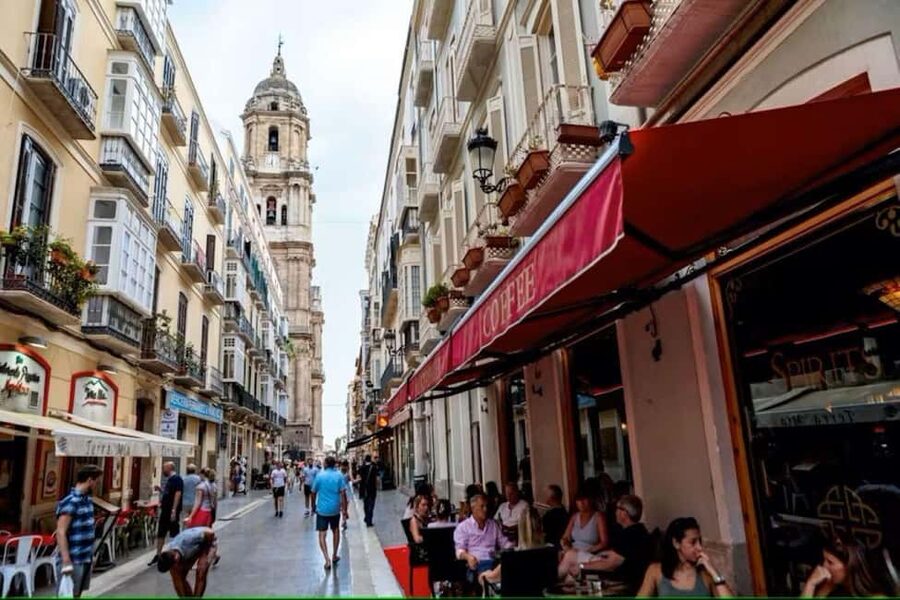 Malaga Walking Tour with Gibralfaro Castle & Alcazaba Visits - Who Will Get the Most From This Málaga Walk