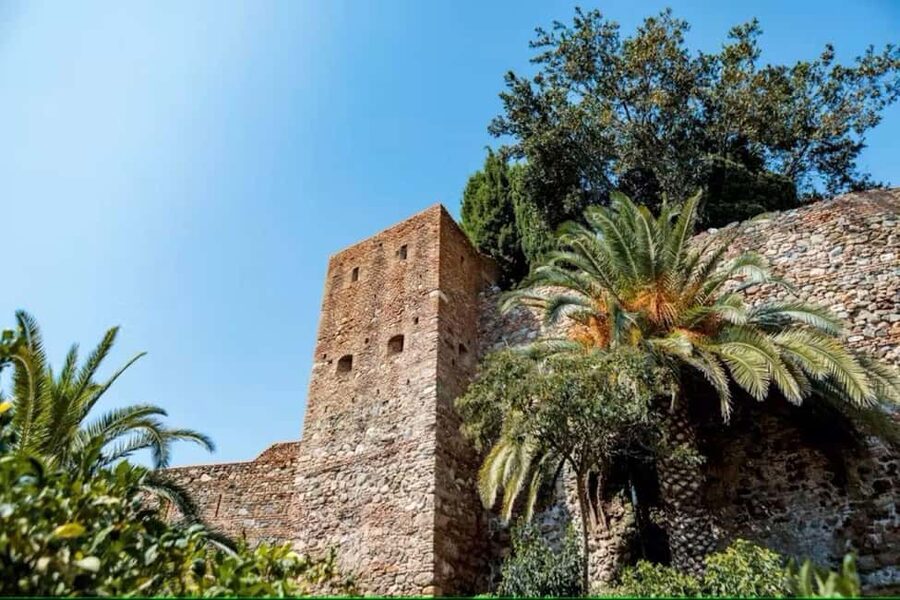 Malaga Walking Tour with Gibralfaro Castle & Alcazaba Visits - Should You Book the Gibralfaro and Alcazaba Tour?