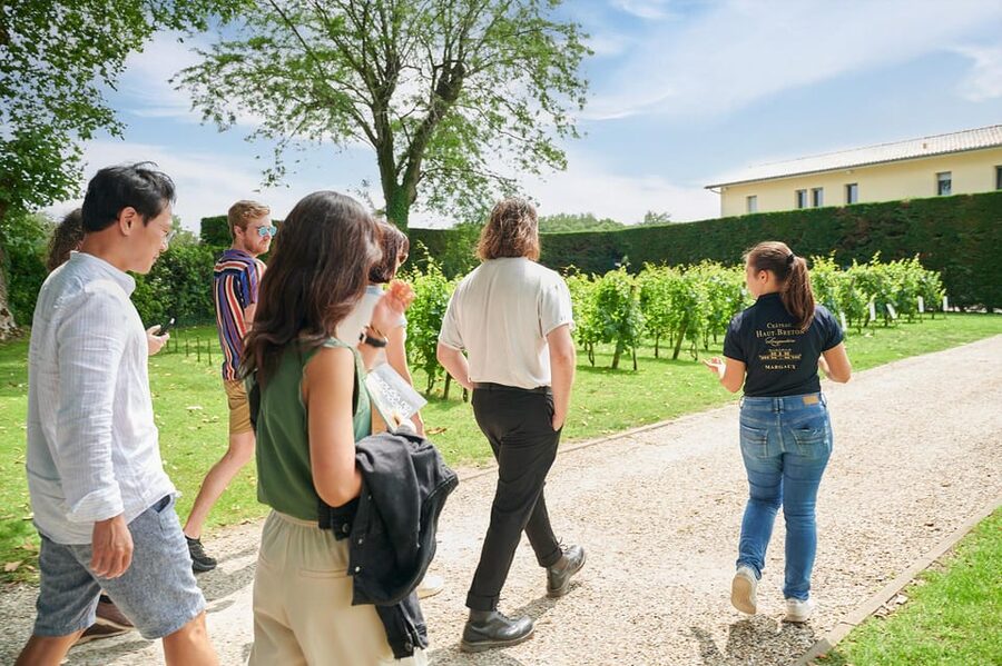 Margaux - Guided tour and lunch at the château - Lunch beneath the plane trees or on the terrace