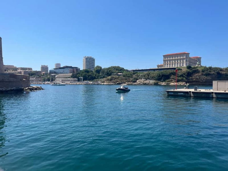Marseille: Set sail for the Château d'If and the Frioul Islands - Dolphins, sunfish, and changing sea conditions