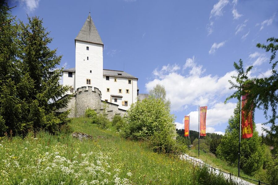Mauterndorf: Castle Entrance Ticket - Key points to know before you go