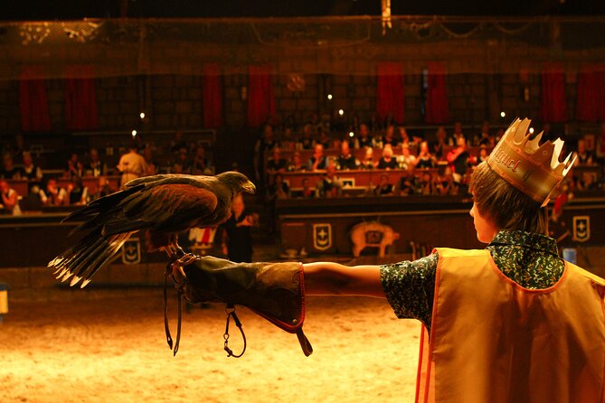 Medieval San Miguel castle with dinner-Show in South Tenerife - Timing, transport, and the first half-hour