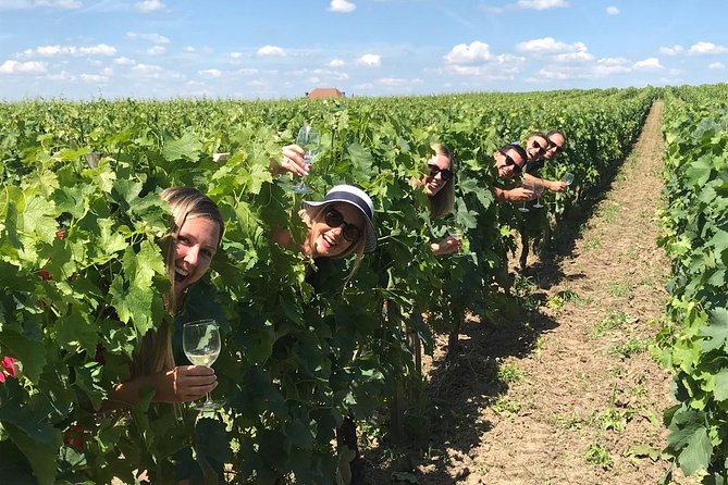 Medoc or Saint Emilion Wine Tasting and Chateau from Bordeaux - Two Bordeaux wine regions, two different afternoons
