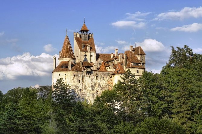 Meet the Bears & Visit Dracula Castle Day Tour from Bucharest - Reaching Bran Castle After the Bears