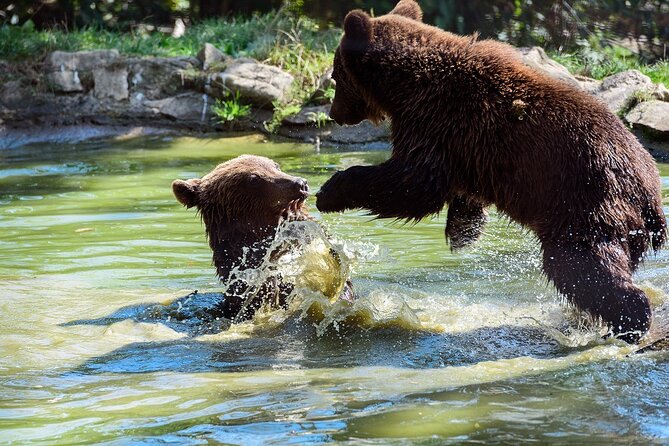 Meet the Free Bears and visit Dracula's Castle in a Day Trip from Bucharest - What kind of guiding should you expect?