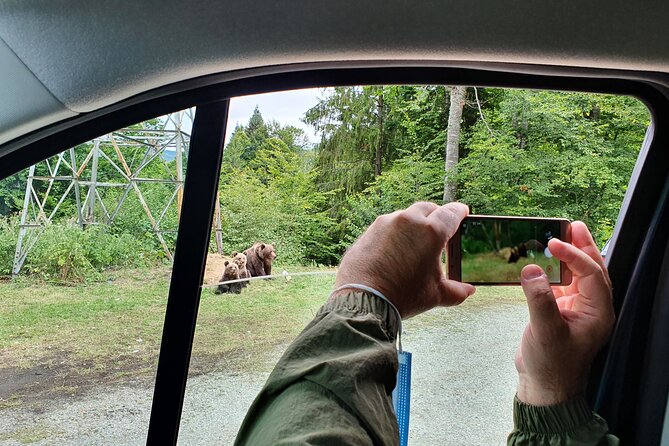 Meet Wild Brown Bears on the Roads to Real Dracula's Fortress - Is $297.68 per person good value?