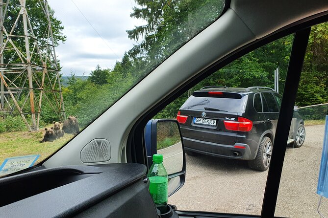 Meet Wild Brown Bears on the Roads to Real Dracula's Fortress - Booking details worth checking