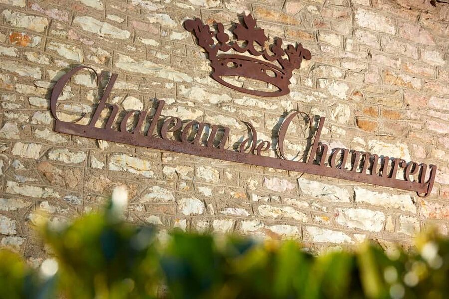 Mercurey: Château de Chamirey 4x4 getaway and tasting - Rolling through Village and Premier Cru plots