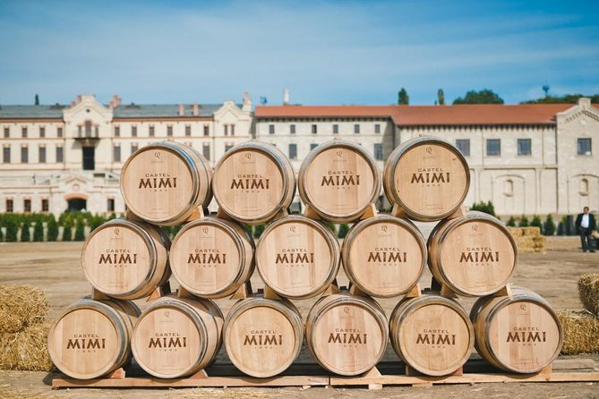 MIMI Castle with wine Tasting - Entering a castle built around Moldova’s wine story