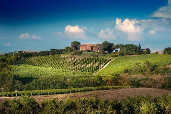 Montalcino: Brunello Wine Tasting & Lunch in a Tuscan Castle - Who will enjoy this Montalcino experience?