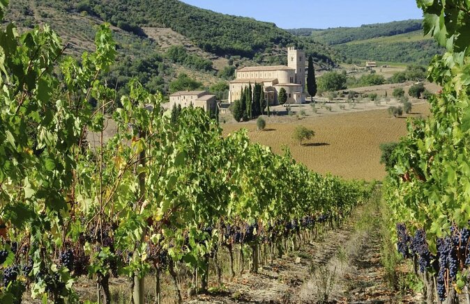 Montalcino: Castle and Vineyards Tour with Tasting - A Castle Tour in the Heart of Brunello Country